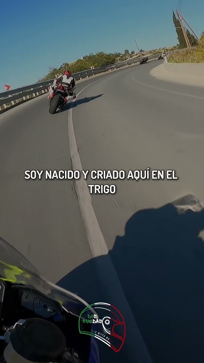 Eden Muñoz, Cheko Mg - El Del Trigo (Letra/Lyrics) - YouTube