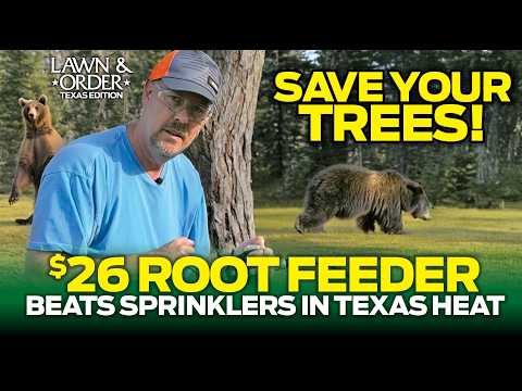 SAVE Your Trees! This $26 Root Feeder Beats Sprinklers in Texas Heat
