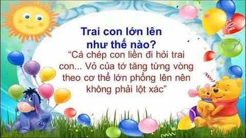 Truyện  Cá chép con thắc mắc
