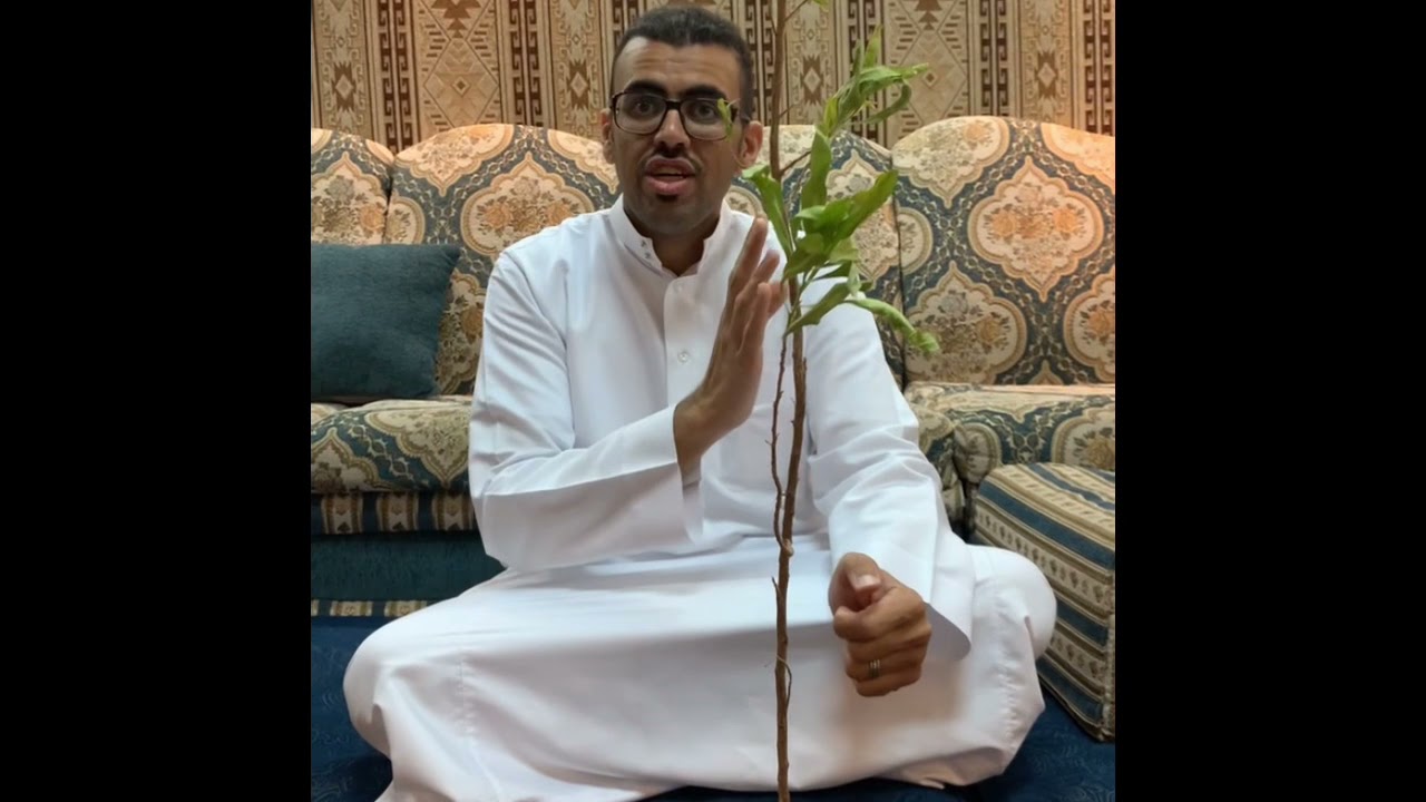 مقابلة سريعة مع الخبير الزراعي عبدالرحمن الجابر ابو حصه في سناب عثمان الصالح