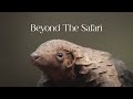Beyond the Safari | Episode 1: Walking with Pangolins in Gorongosa National Park