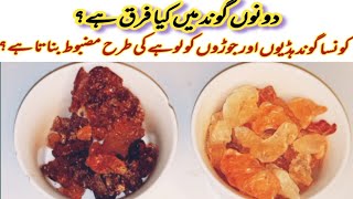 difference between gond and gond katira | گوندکیکر اور گوند کتیرا کی پہچان | benefits of gond
