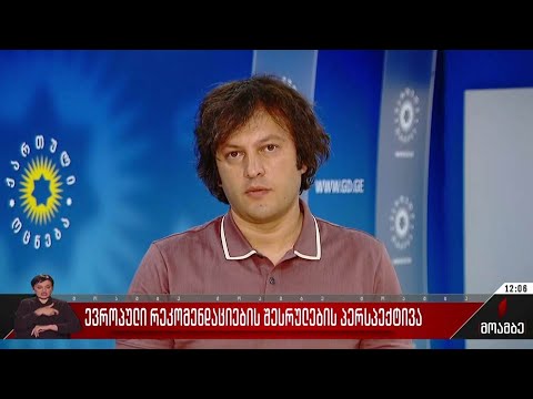 ევროპული რეკომენდაციების შესრულების პერსპექტივა