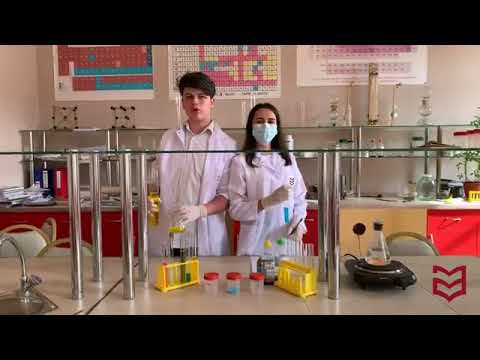 58 გიმნაზია შავნაბადა გუნდი ჰელისი