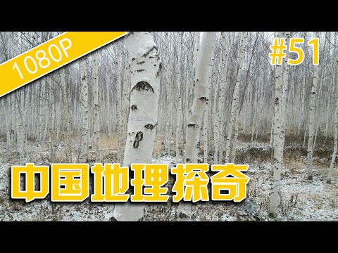 纪录片 出路 中国地理探奇51-死亡林-HD高清完整版