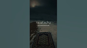﴿ إن الله لا يَخفى عليهِ شيء فِي الأرضِ ﴾ سوره آل عمران، عبدالرحمن مسعد #ارح_قلبك #قران_كريم