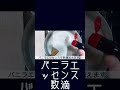 勝手に二層 あんこのババロア 勝手に二層 あんこのババロア