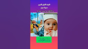 Quran kareem telawat ||قرآن كريم تلاوت ||سورة مريم