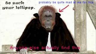 relp - (orang utan)