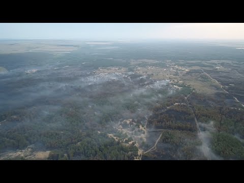 «Словно в гигантской паутине»: дымящий лес в Волгоградской области сняли с высоты