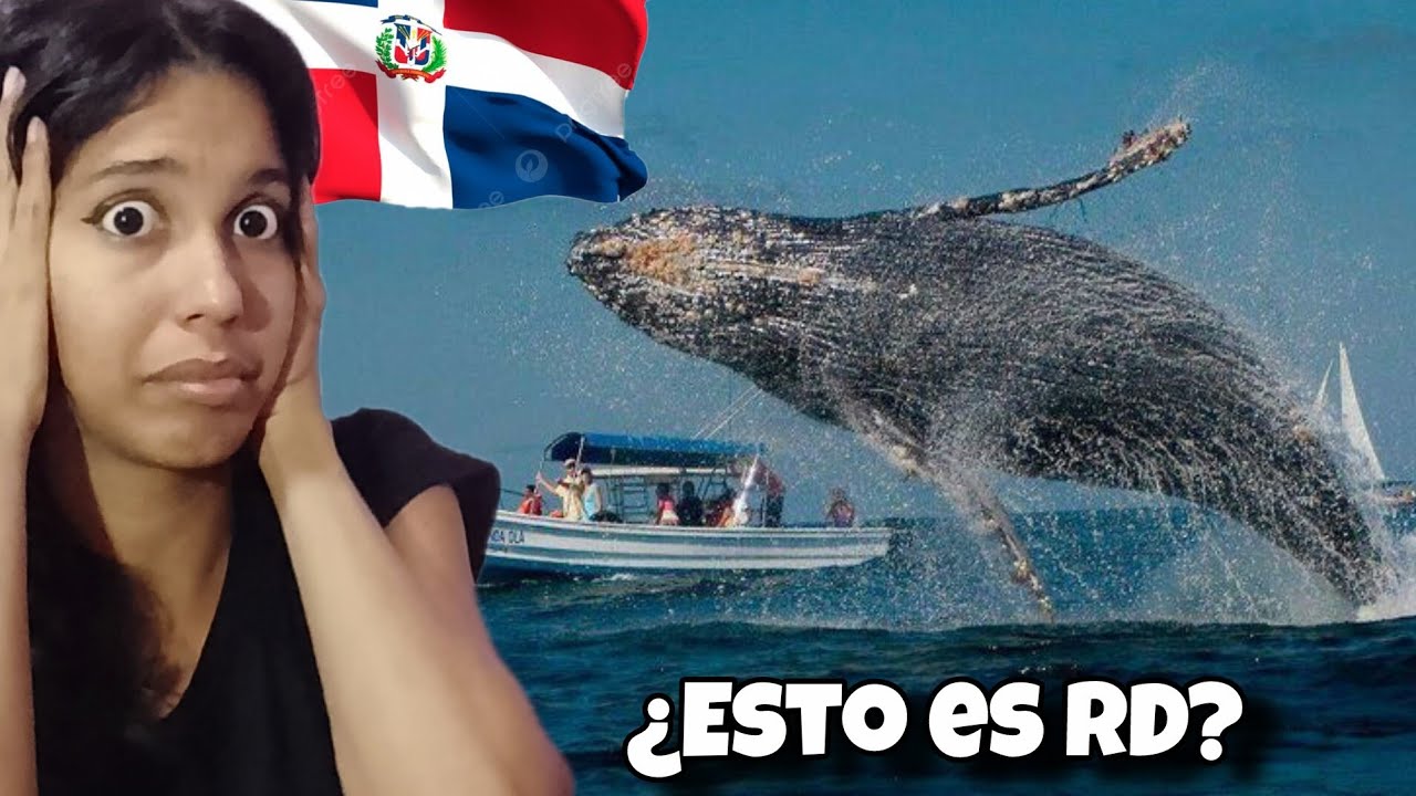 🇩🇴 Esto es IRREAL 😱 REPÚBLICA DOMINICANA me vuelve a sorprender l cubana reacciona 🔥