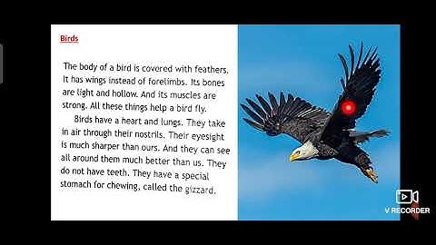 Class 4 /ICSE /  Science /Lesson 7 - Part-2 Session 15