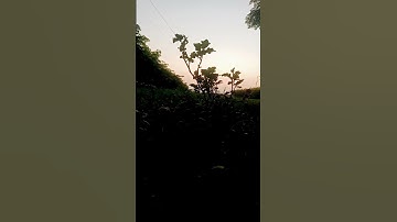وإذا سألك عبادي عني فإني قريب أجيب دعوة الداع إذا دعان فليستجيبوا | الآية 186 من سورة البقرة