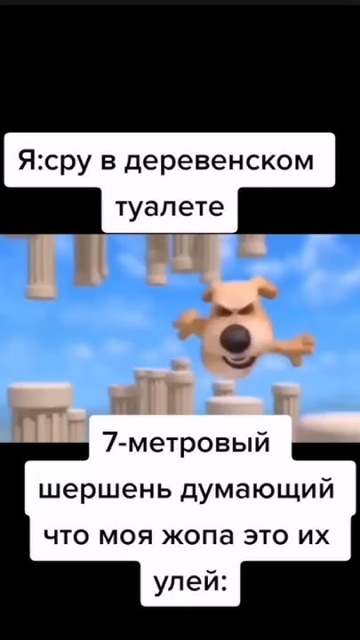 мини шершень😂#шершень#мем#прикол#анекдот - YouTube