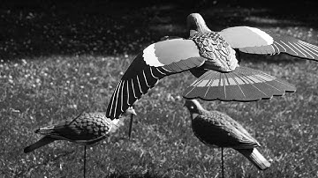 OFB X FIZZLER X TEEWAY UK DRILL TYPE BEAT | DECOY | PROD MIGZ