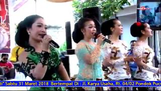 Top Hits - Pepeling All Artis Cursari Lambada
