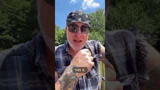 Is Elon Gonna Buy The Midterms?