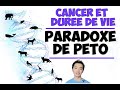 Pourquoi les lphants et les baleines ont moins de cancers que nous  le paradoxe de pto