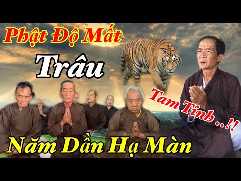 Video Phật Độ Mất Trâu 