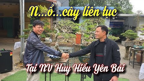 SH.11232.Bàn giao nhiều tp giao dịch trong giờ khai mạc trưng bày cây cảnh tại NV Huy Hiếu Yên Bái. 