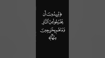(عذاب مقيم) #قرآن #ليدّبّروا_آياته #راحة_نفسية #شاشه_سوداء #سورة_المائدة #عبدالرحمن_ريس #quran