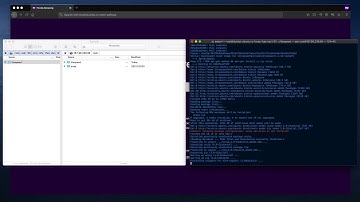 Installation Litespeed server + Prestashop with Alysum theme in Docker container