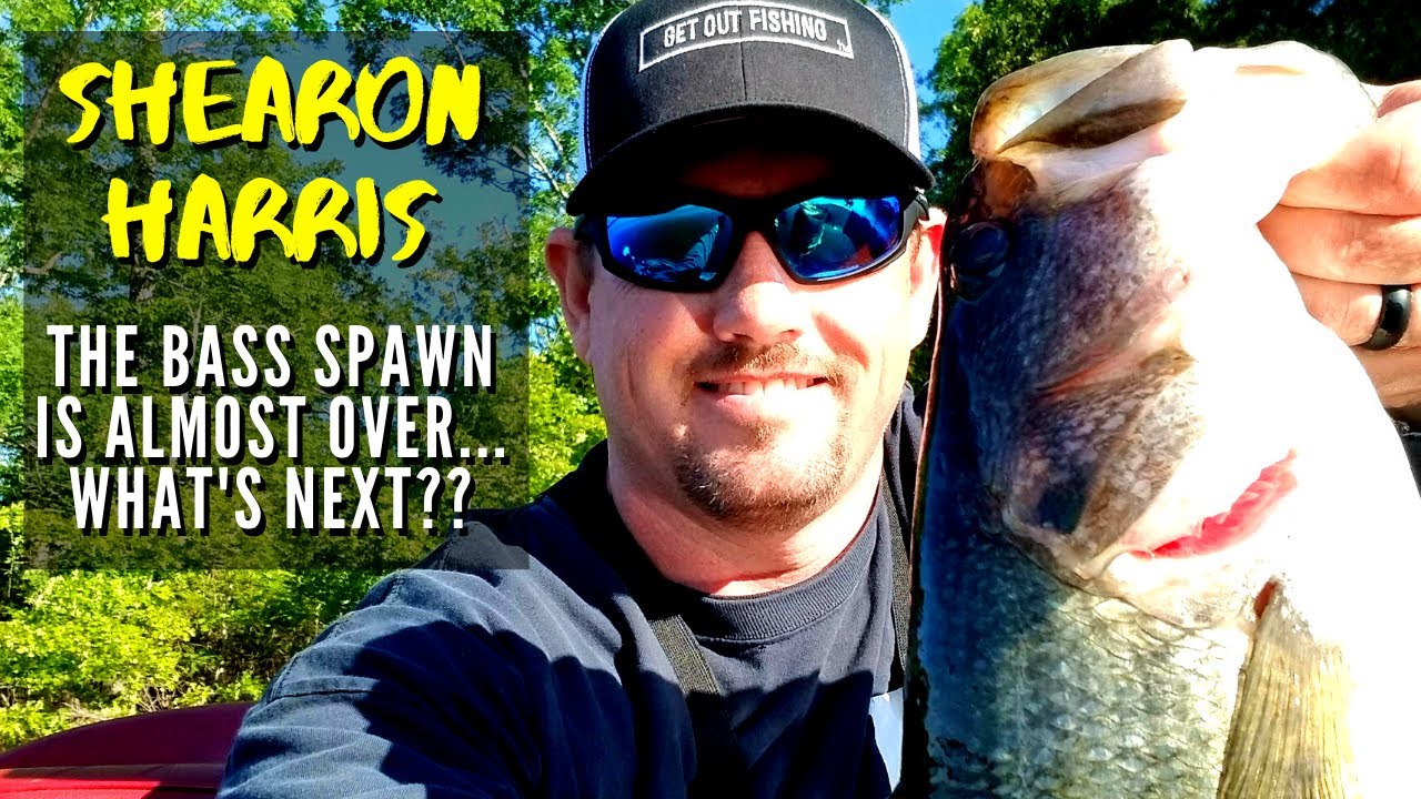 Shearon Harris The Bass Spawn is Almost Over in North Carolina. What