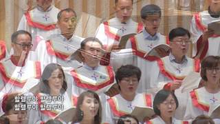 [고척교회] 20170618 시온찬양대 - 보라 내가 새 일을 행하리라