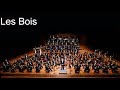 Les instruments de lorchestre symphonique  les bois