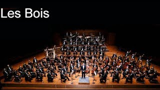 Les instruments de l'Orchestre Symphonique  Les Bois