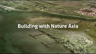 Accelerating adaptation through Building with Nature in Asia