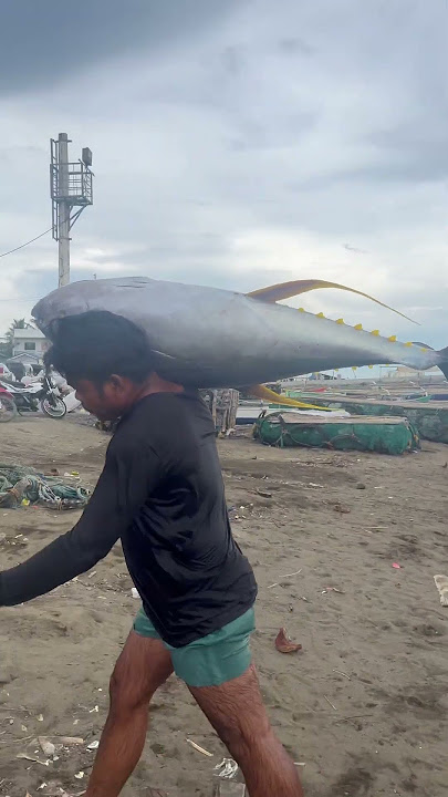 Yagyag si boss jiggss #trending #shortvideo #fishingshorts #youtubeshorts  #shorts #shortsfeed