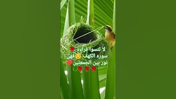#جمعة_مباركة #سورة_الكهف #صلوا_على_النبي #استغفر_الله_واتوب_إليه #قصص #لايك