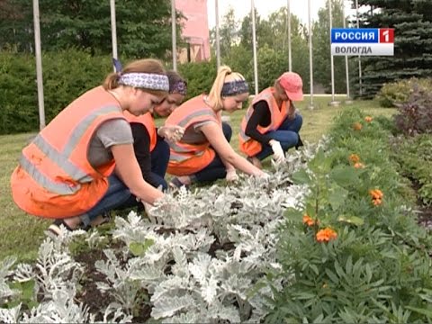 ВОЛОГОДСКИЕ ШКОЛЬНИКИ РАБОТУ ПРЕДПОЧЛИ ОТДЫХУ-20-08-2015