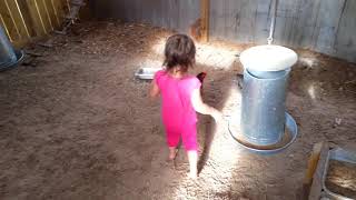 backyard chicken coop youtube 7