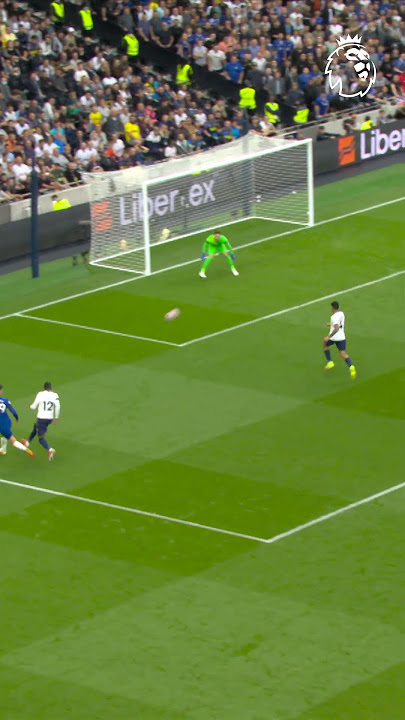 Eric Dier goal line clearance vs Chelsea