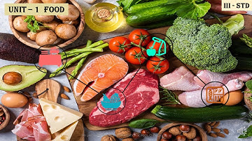 3RD STD SCIENCE FOOD | UNIT-1 (PART-1) | SLN MATRICULATION SCHOOL