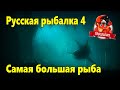 Русская рыбалка 4. Самая большая рыба, это та которую ты упустил.