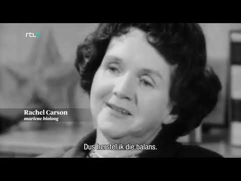 Video: Hva påvirket Rachel Carson?