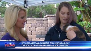 Adopt A Pet: Dog Days of Summer Adoption Event