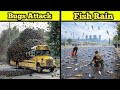 Unbelievable Natural Moments Caught On Camera