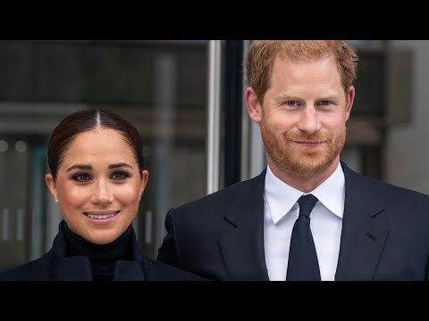 Experts Have Questions About Meghan And Harry's Behavior Surrounding Security Concerns