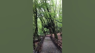 تلاوة خاشعة 💖