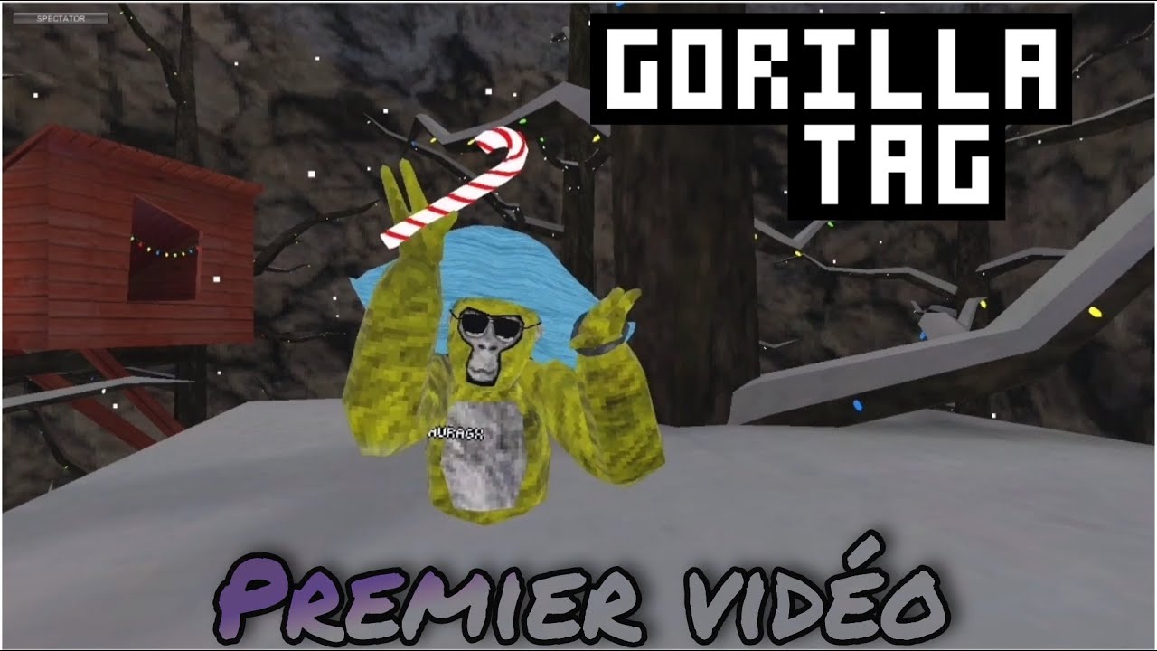 Première Vidéo Gorilla tag - YouTube