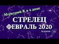 СТРЕЛЕЦ гороскоп на ФЕВРАЛЬ 2020. Меркурий Ретро. Астролог Olga