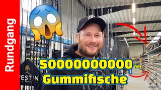Rundgang Hermanns Angelhütte Alles Zum Angeln Auf Barsch, Forelle, Zander Hecht