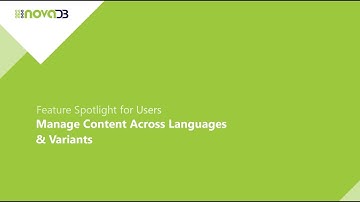 Easily manage multilingual & target group-specific product data
