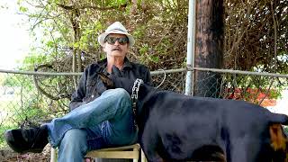 Bruno Mars dad's best friend Zorro by The Pet Hui #2 395 views 1 year ago 4 minutes, 24 seconds