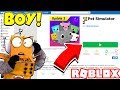 СИМУЛЯТОР ПИТОМЦЕВ 2! НОВАЯ ИГРА ИЛИ ПЛАГИАТ?  ROBLOX PET SIMULATOR