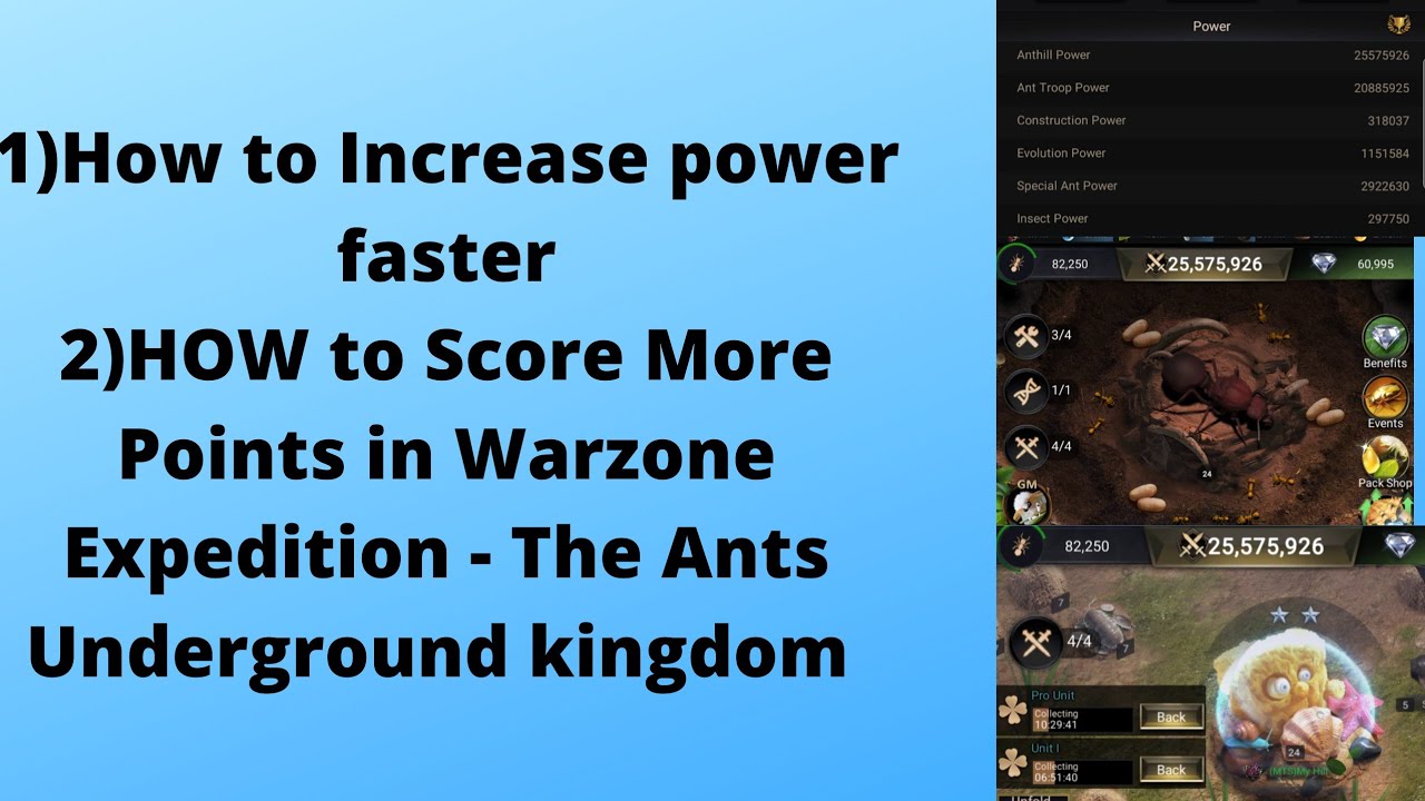 How to.... Make more Points in Warzone Expedition | The Ants Underground Kingdom